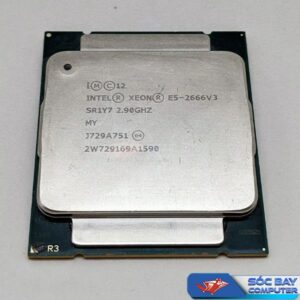 CPU Intel Xeon E5 2666v3;